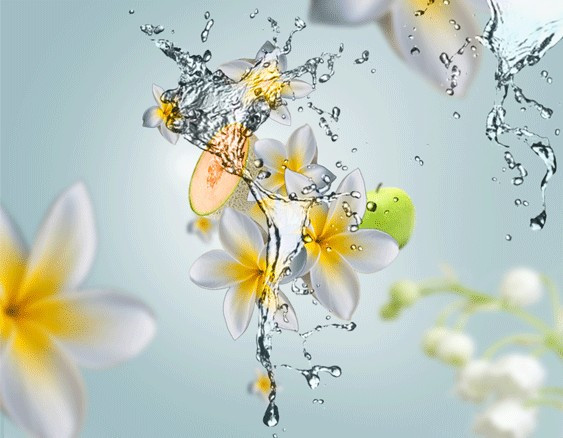 aroma happy
