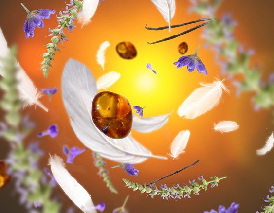 aroma-dream-563x438