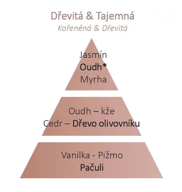 Maison Berger Paris Keramická náplň vůně do auta Pod olivovníky, 2 ks