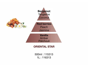 Maison Berger Paris Keramická náplň vůně do auta Kouzlo Orientu, 2 ks