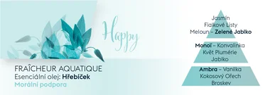 Maison Berger Paris Keramická náplň vůně do auta Aroma Happy – Svěžest vody, 2 ks