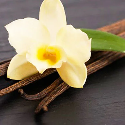 Bois_de_santal_imperial_dotextu