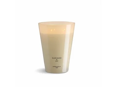 Cereria Mollá Vonná svíčka se 4 knoty  Provence Lavender, 3500 g