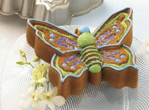 NW_motyl_butterfly_80248