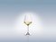 La Divina sklenice na bílé víno, 0,38 l, 4 kusy