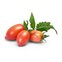 Lingot se semeny růžových mini rajčat pro chytré květináče 