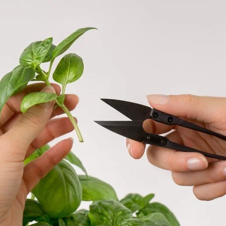 Mini nůžky na sklízení bylinek