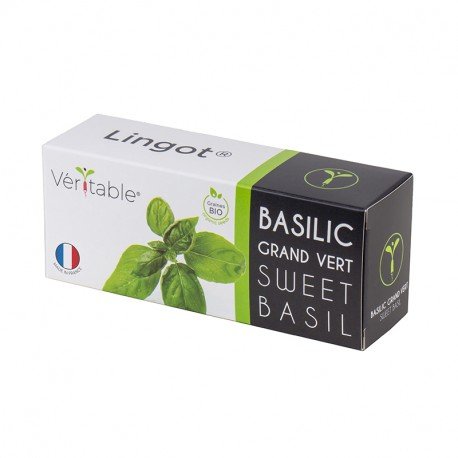 organic-sweet-basil-lingot