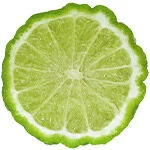 bergamot