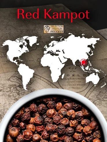 Peugeot Červený pepř Kampot Premium, 3 x 20 g