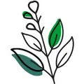 verbena