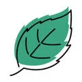 medunka