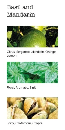 Cereria Mollá Parfémované mýdlo Basil & Mandarin, 100 g, černá