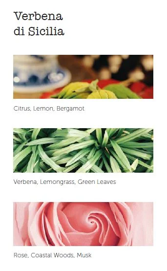Verbena di Sicilia