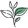 egcg