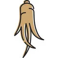 ginseng