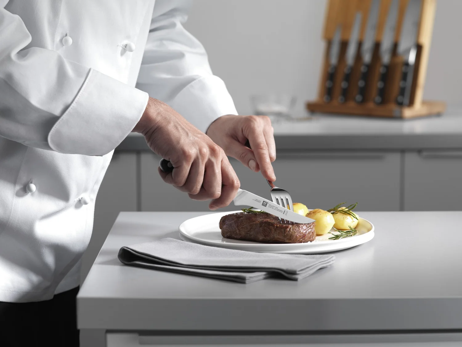 steakový