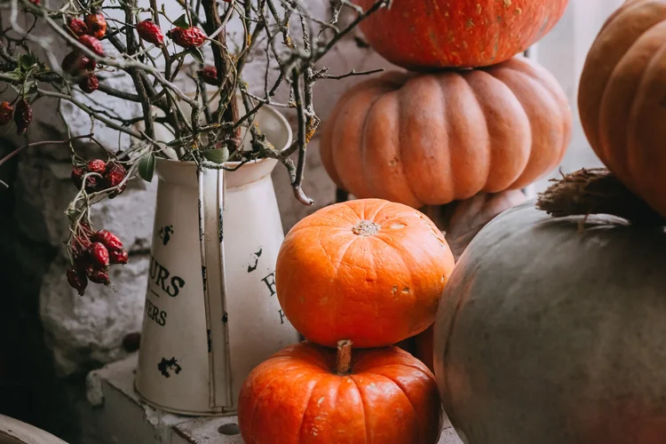 Jak si vyřezat dýni na Halloween