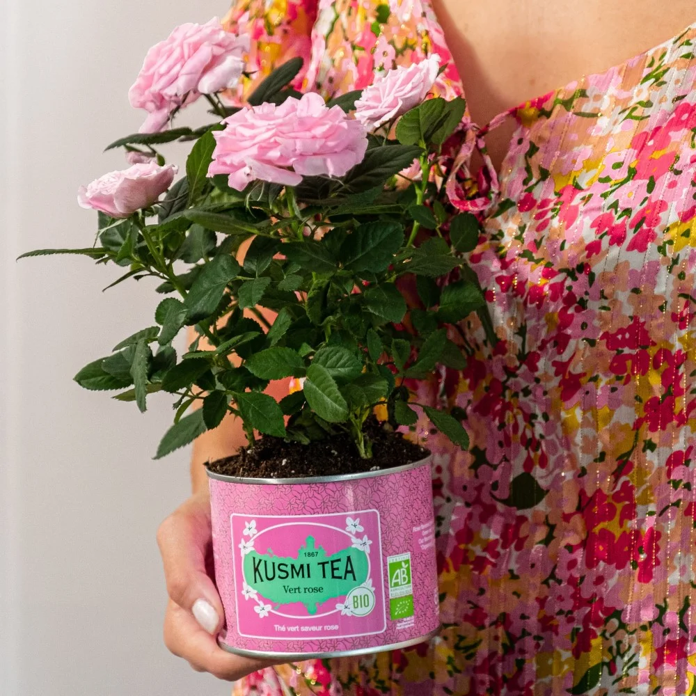 Plechová dóza Kusmi Tea Green Rose