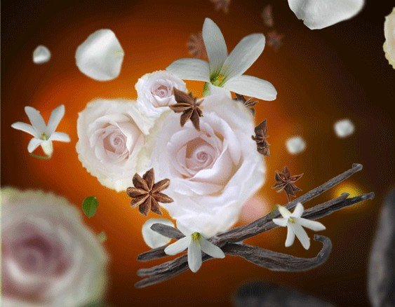 aroma relax