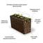 Lingot s BIO semenami trpasličej bazalky pre inteligentné kvetináče