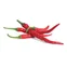 Lingot s BIO semenami Cayenne chili papričiek do inteligentných kvetináčov