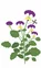 Lingot s BIO semenami sirôtky pre inteligentné kvetináče