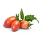Lingot so semenami mini paradajok do inteligentných kvetináčov