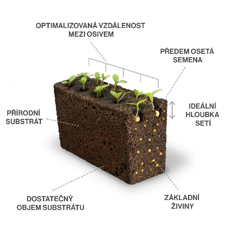 Lingot s BIO semenami petržlenu pre inteligentné kvetináče