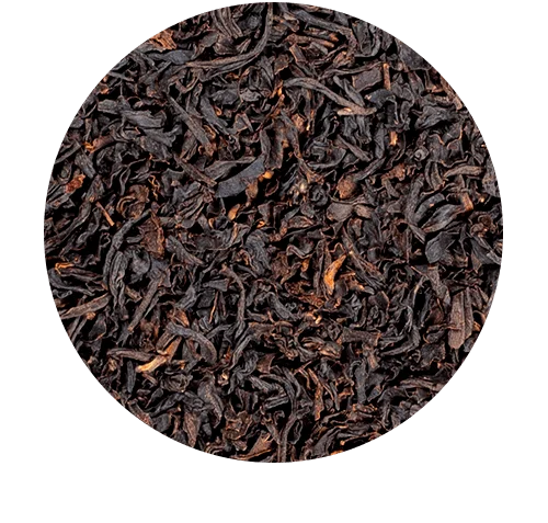 21672A1050_TROI