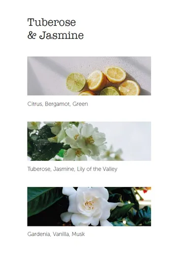 Cereria Mollá Vôňa do auta Tuberosa & Jasmine, krémová