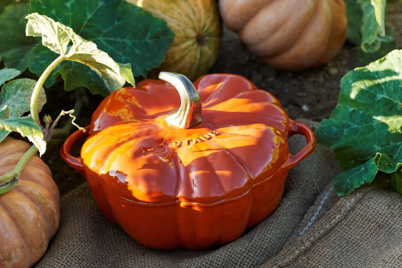 Staub